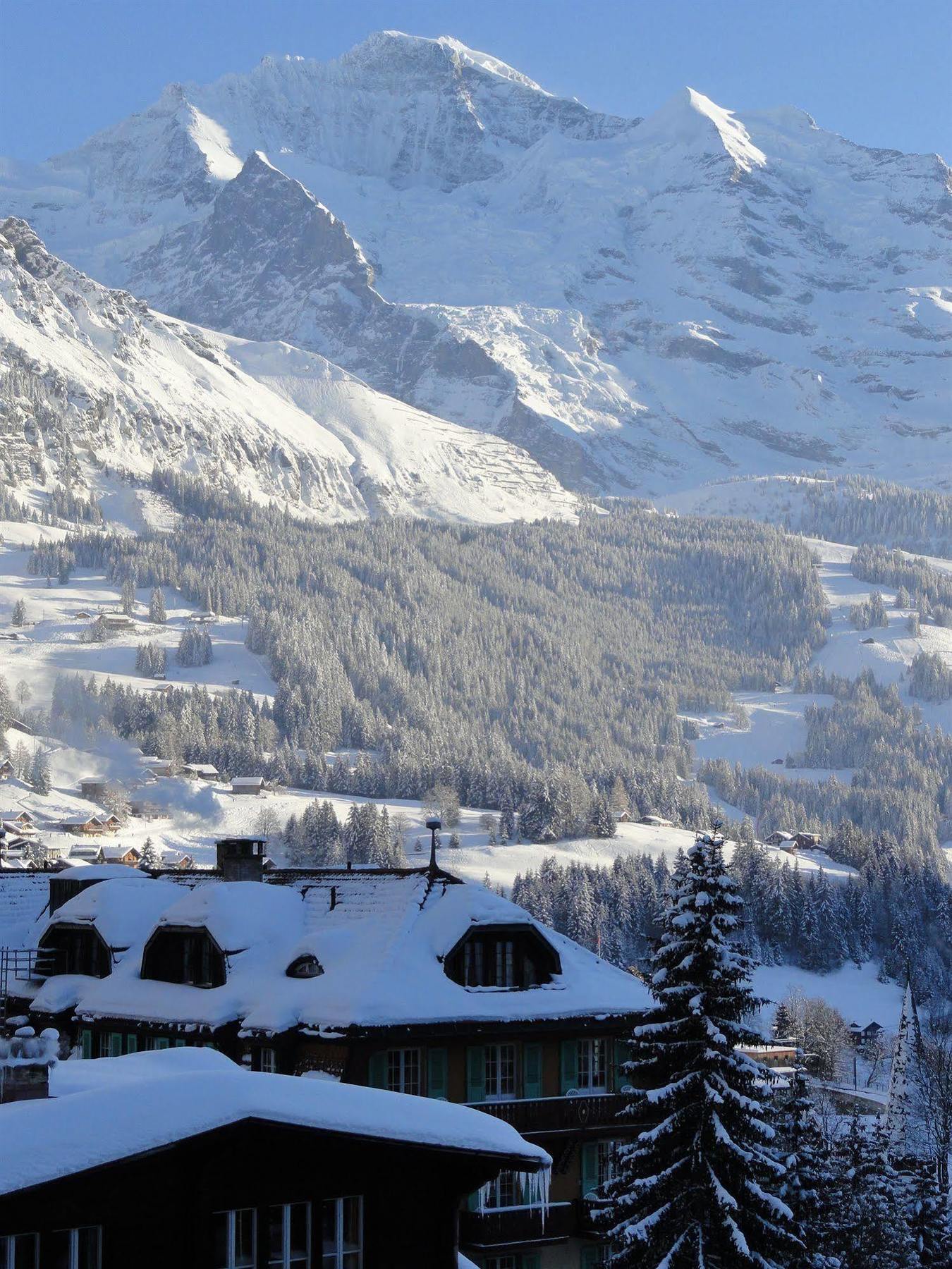 Alpenruhe - Vintage Design Hotel Wengen