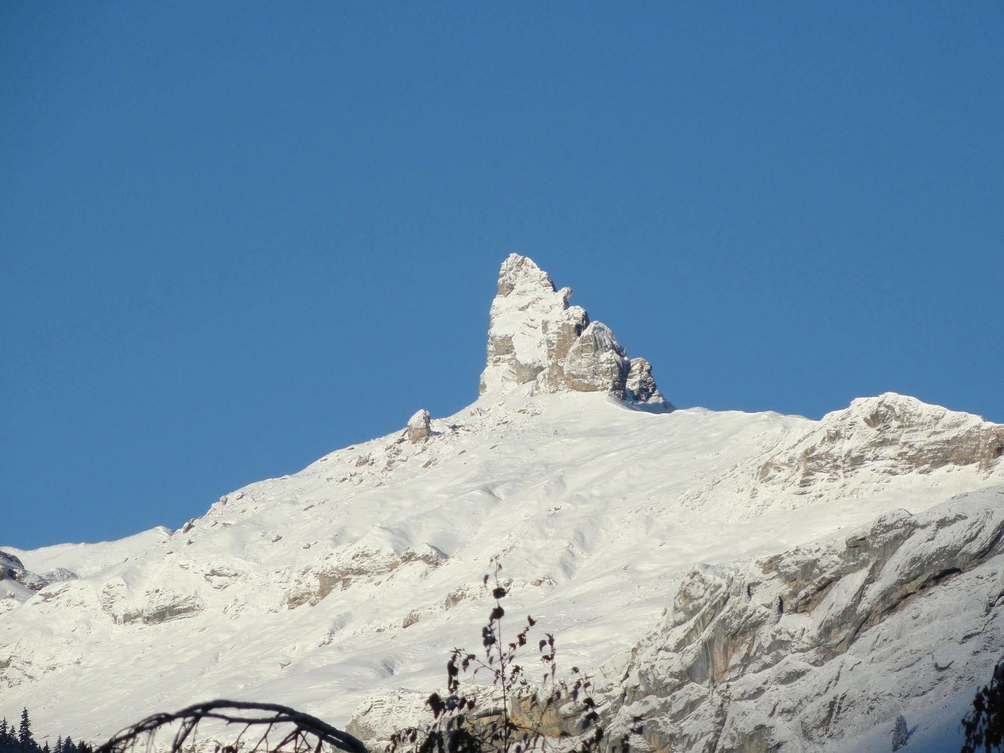 Alpenruhe - Vintage Design Wengen